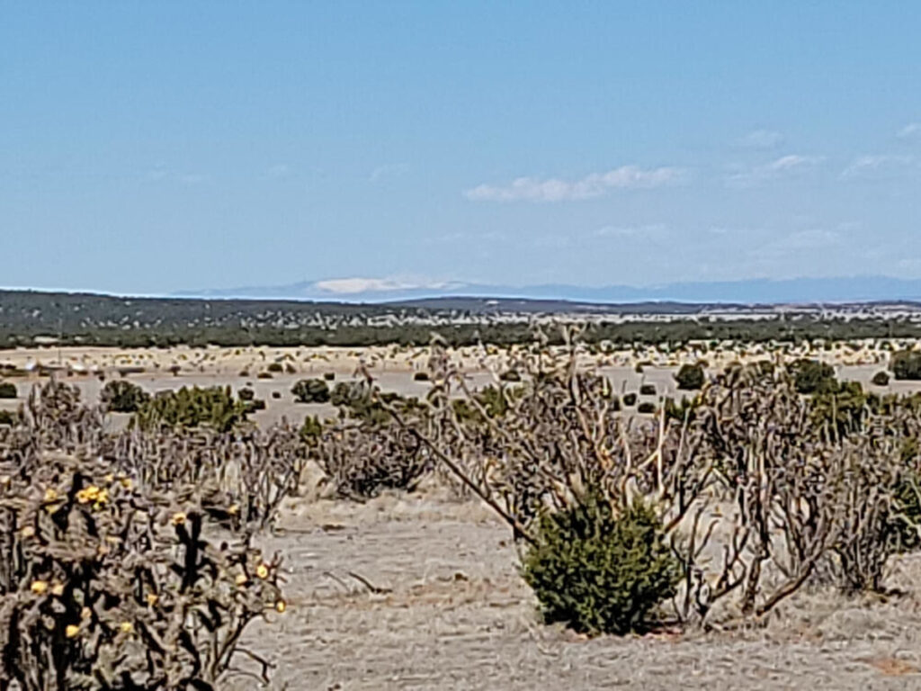 Property photo for land for sale in Torrance County New Mexico