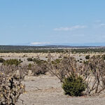 Property photo for land for sale in Torrance County New Mexico