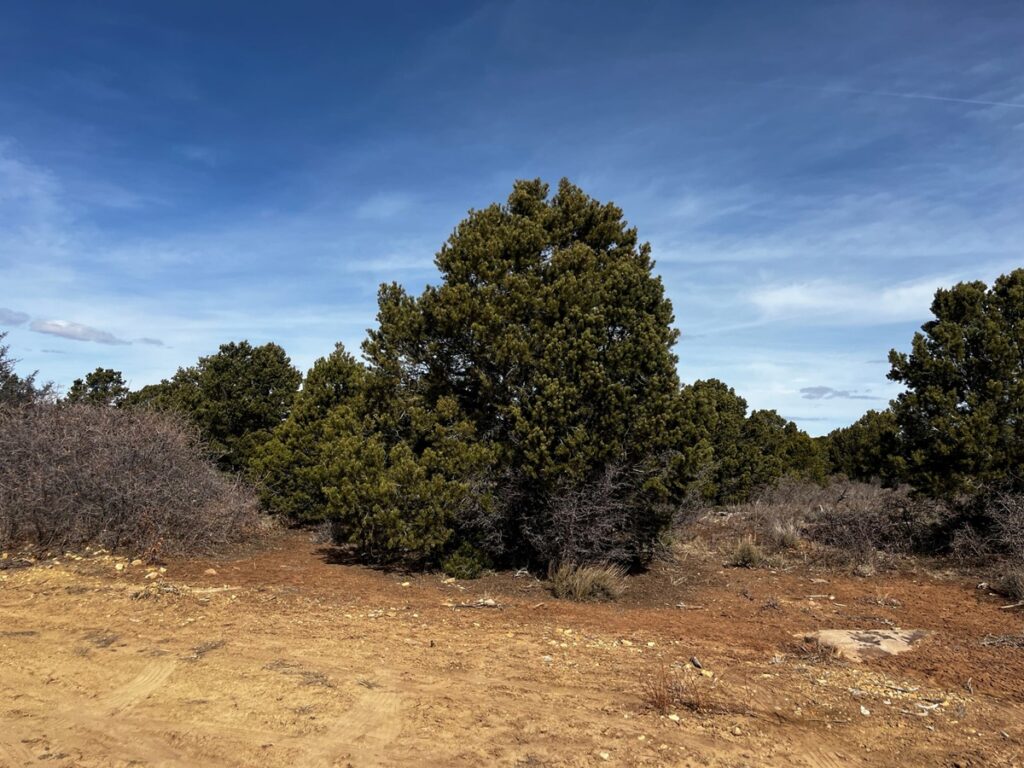 Property photo for land for sale in San Miguel County Colorado
