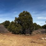 Property photo for land for sale in San Miguel County Colorado