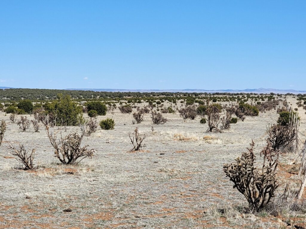 Property photo for land for sale in Torrance County New Mexico