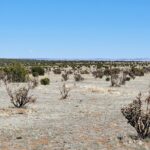 Property photo for land for sale in Torrance County New Mexico