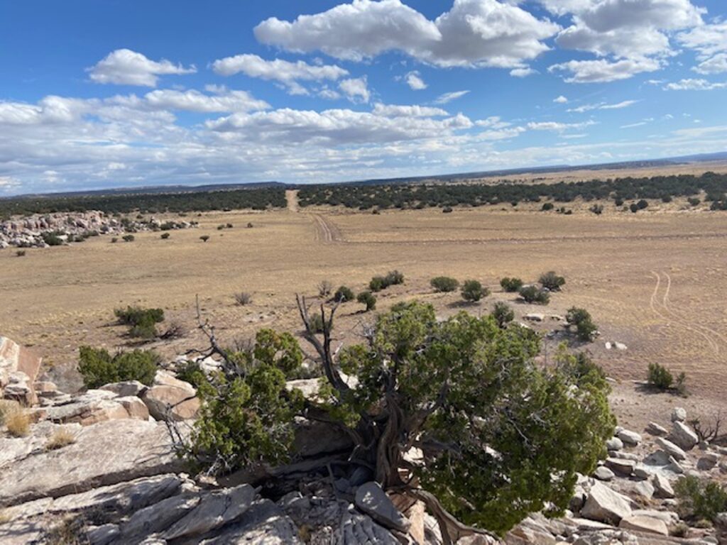 Property photo for land for sale in Apache County Arizona