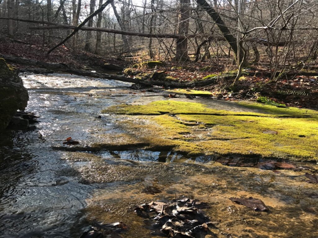 Property photo for land for sale in Marion County Arkansas