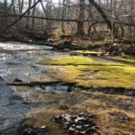 Property photo for land for sale in Marion County Arkansas