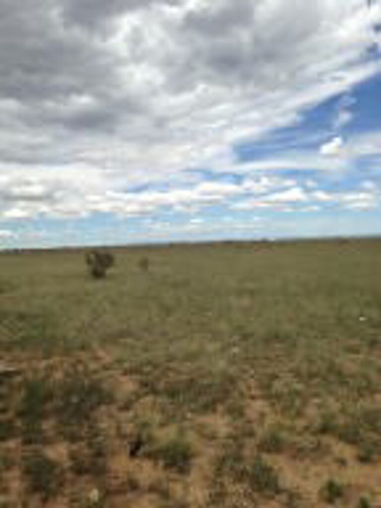Property photo for land for sale in Torrance County New Mexico