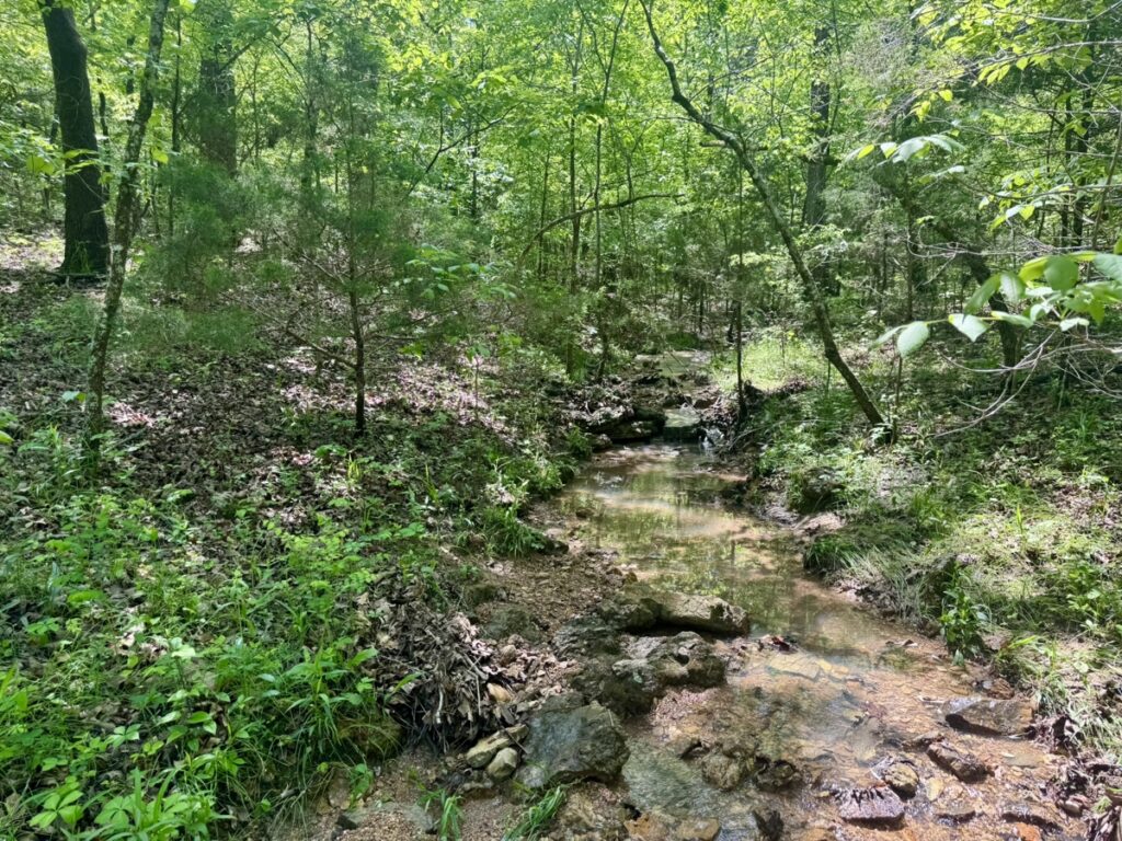 Property photo for land for sale in Fulton County Arkansas