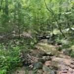 Property photo for land for sale in Fulton County Arkansas