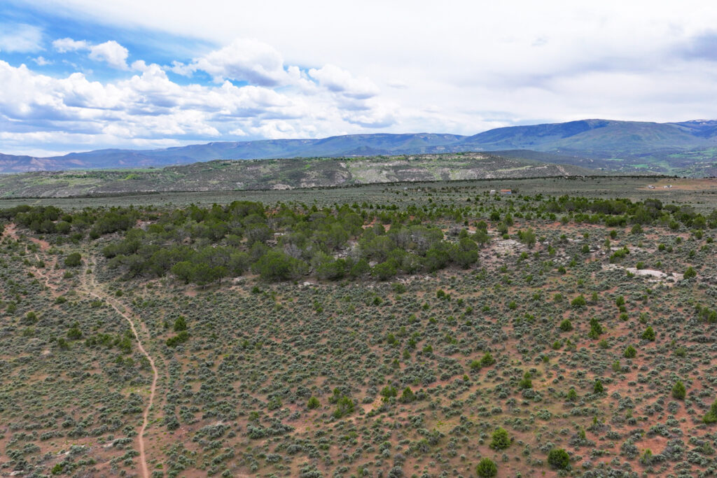 Property photo for land for sale in Mesa County Colorado