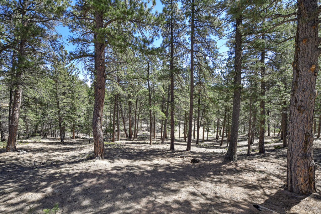 Property photo for land for sale in Teller County Colorado