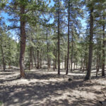 Property photo for land for sale in Teller County Colorado