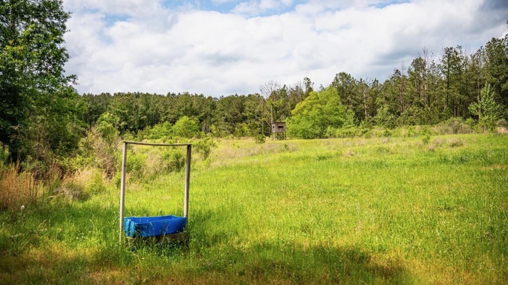 Property photo for land for sale in Wilkinson County Mississippi