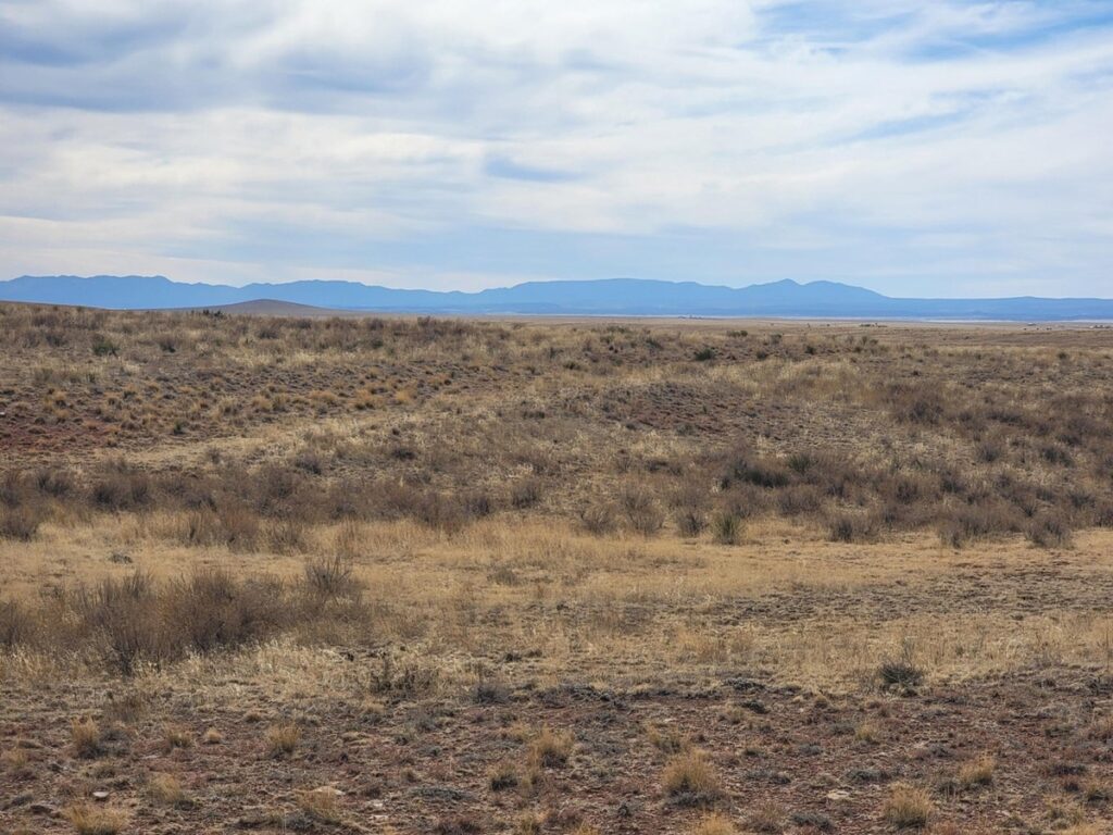 Property photo for land for sale in Torrance County New Mexico
