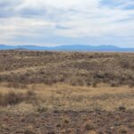 Property photo for land for sale in Torrance County New Mexico