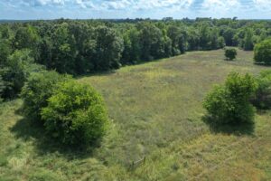 Property photo for land for sale in Upshur County Texas