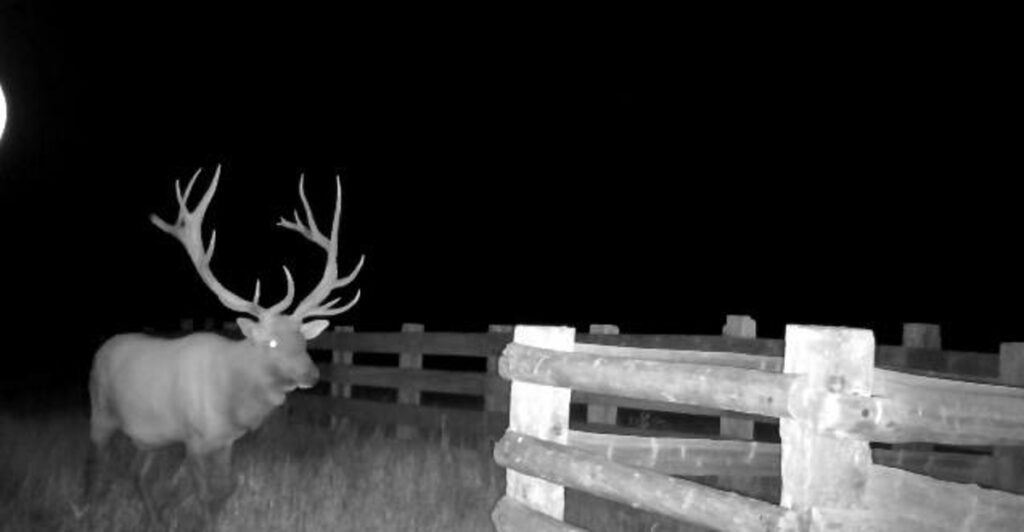 Property photo for land for sale in Yellowstone County Montana