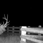 Property photo for land for sale in Yellowstone County Montana