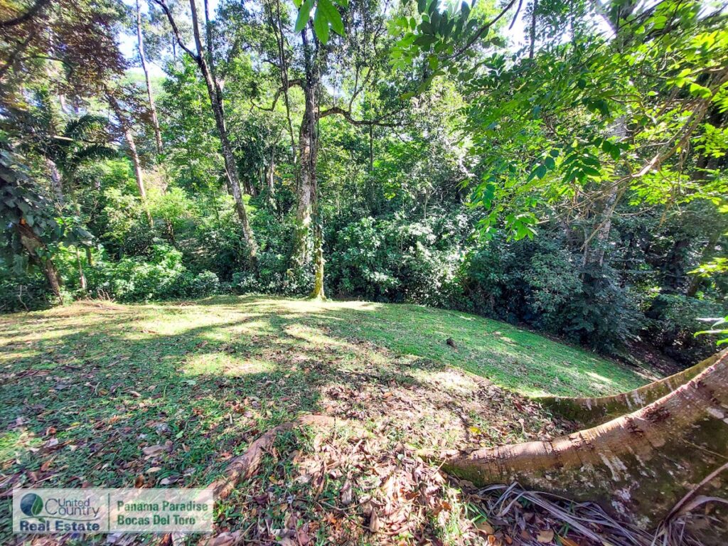 Property photo for land for sale in  County Panama