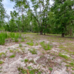 Property photo for land for sale in Suwannee County Florida