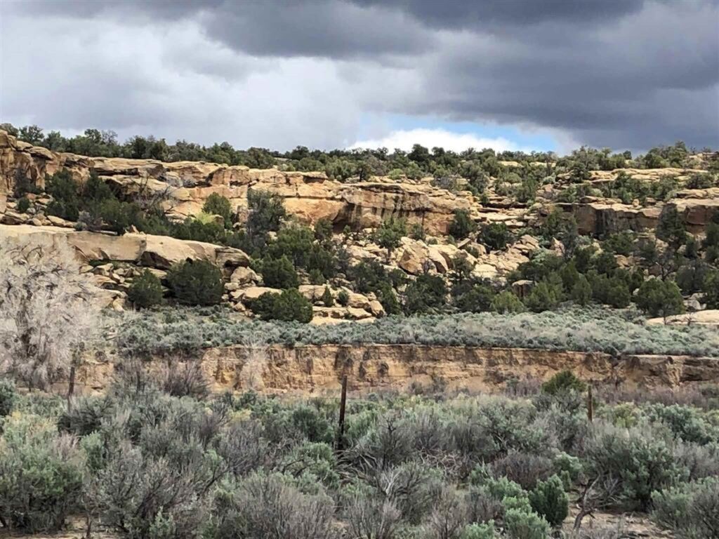 Property photo for land for sale in Rio Arriba County New Mexico