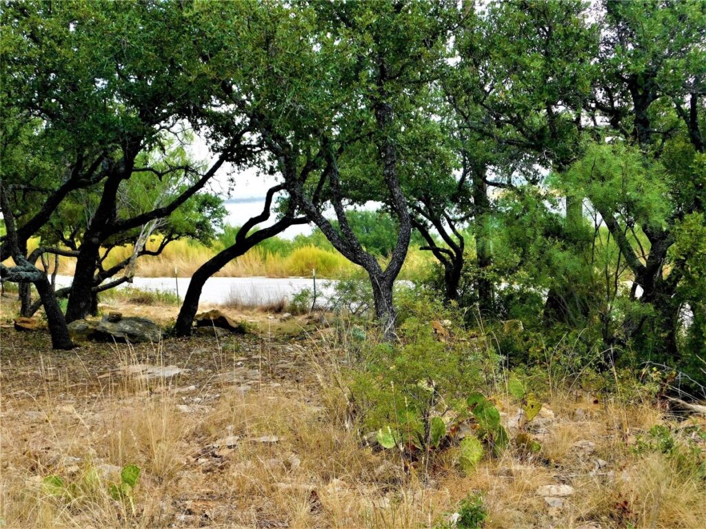 Property photo for land for sale in Brown County Texas