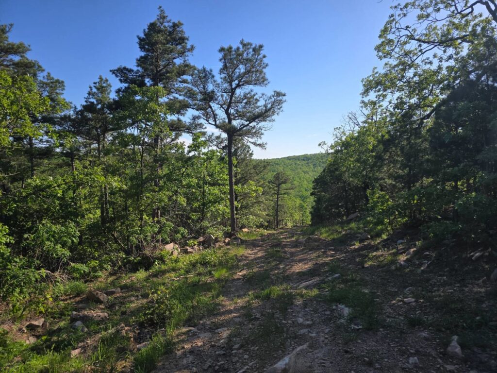 Property photo for land for sale in Pushmataha County Oklahoma