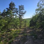 Property photo for land for sale in Pushmataha County Oklahoma