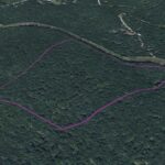 Property photo for land for sale in Henry County Missouri