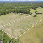 Property photo for land for sale in  County Florida