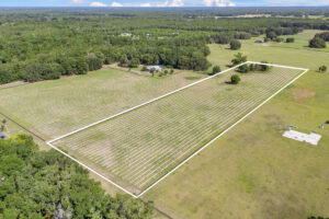 Property photo for land for sale in  County Florida
