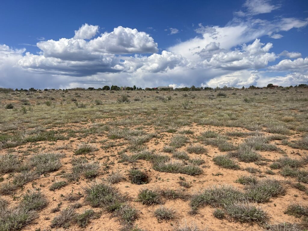 Property photo for land for sale in Montezuma County Colorado