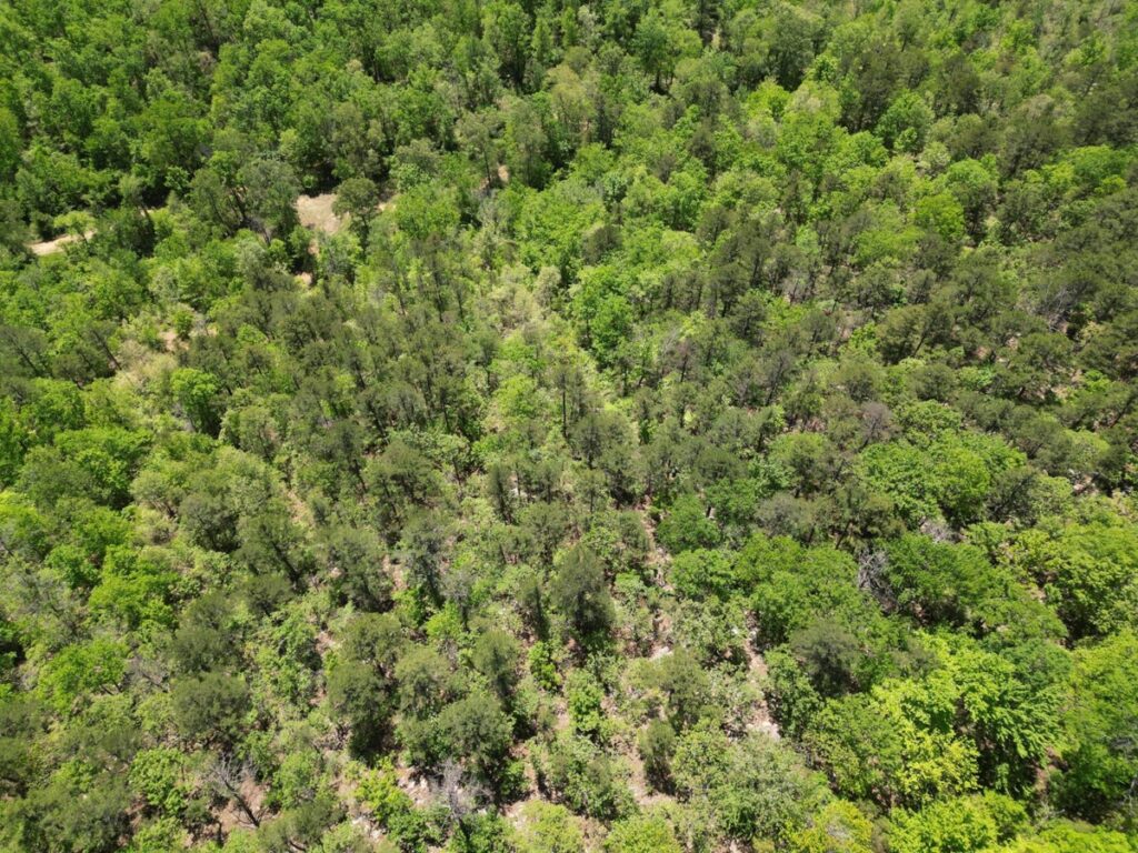 Property photo for land for sale in Pushmataha County Oklahoma