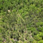 Property photo for land for sale in Pushmataha County Oklahoma