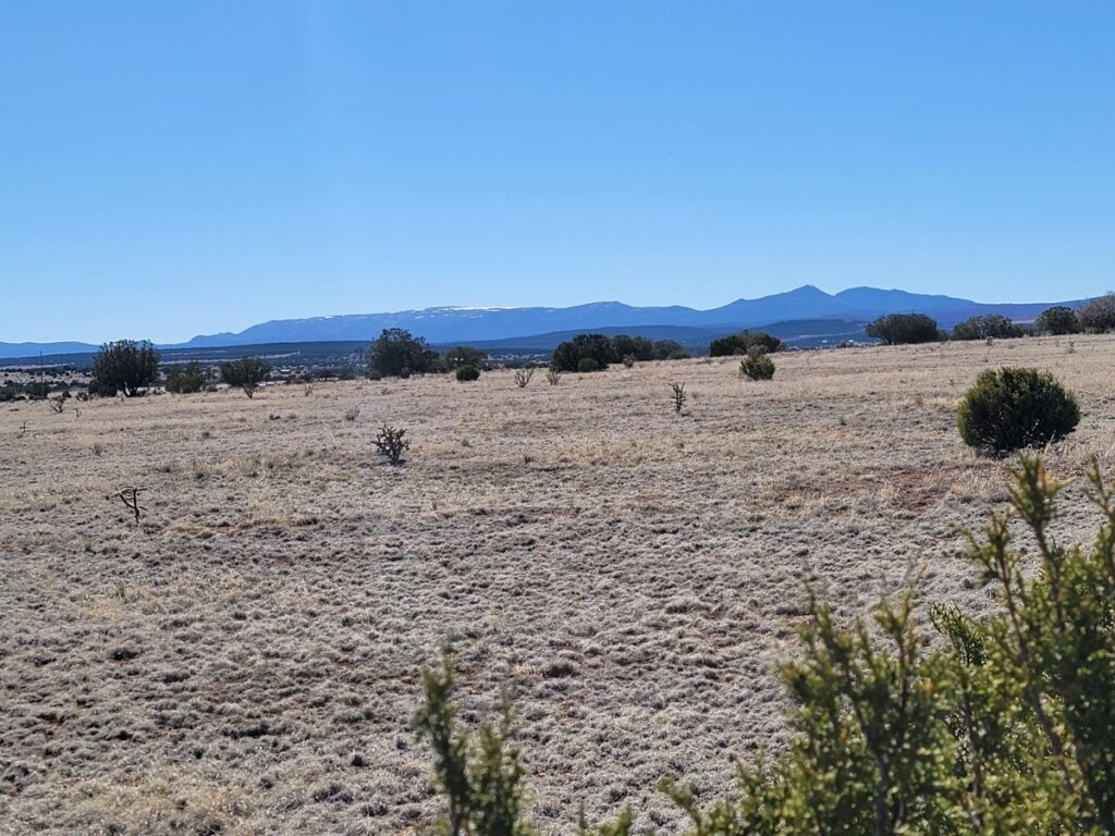 Property photo for land for sale in Torrance County New Mexico