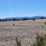 Property photo for land for sale in Torrance County New Mexico
