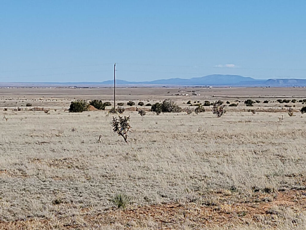 Property photo for land for sale in Torrance County New Mexico