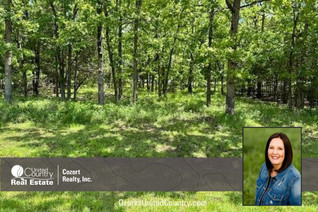 Property photo for land for sale in Izard County Arkansas