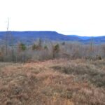Property photo for land for sale in Newton County Arkansas