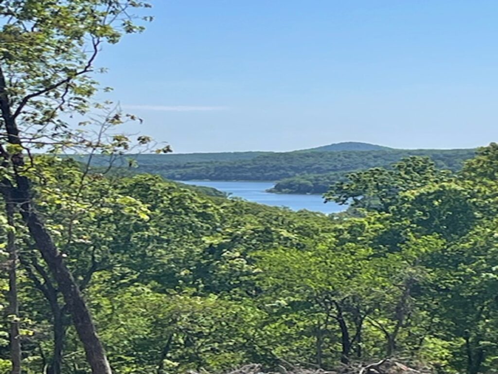 Property photo for land for sale in Marion County Arkansas