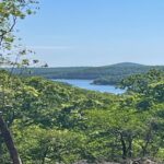 Property photo for land for sale in Marion County Arkansas