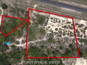 Property photo for land for sale in Levy County Florida
