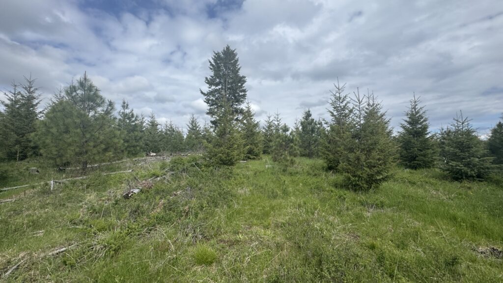 Property photo for land for sale in Clearwater County Idaho