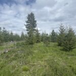 Property photo for land for sale in Clearwater County Idaho