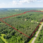 Property photo for land for sale in Red River County Texas