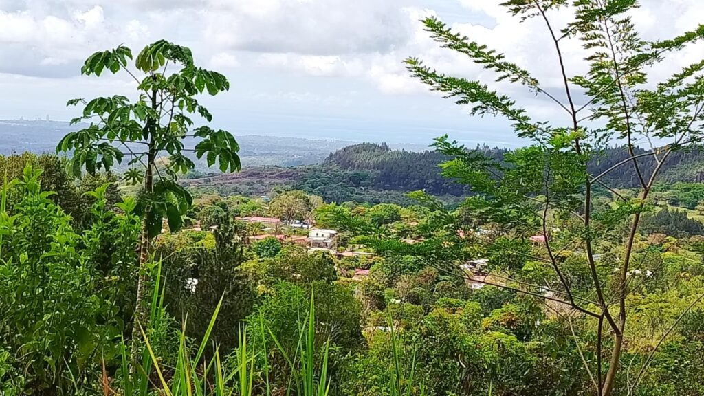 Property photo for land for sale in County Panama