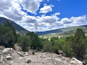 Property photo for land for sale in Eagle County Colorado