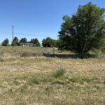Property photo for land for sale in Torrance County New Mexico