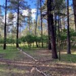 Property photo for land for sale in Rio Arriba County New Mexico