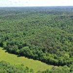 Property photo for land for sale in Dent County Missouri