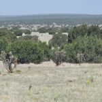 Property photo for land for sale in Torrance County New Mexico